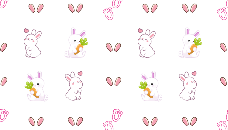 Cute Bunny Patterns